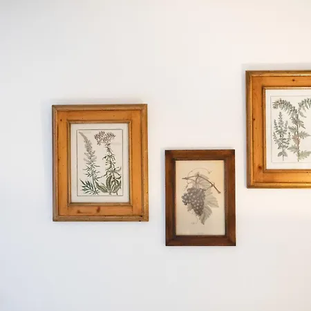 Au Pied Des Remparts à Apartamento Eguisheim